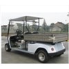xe diẹn golfcar ezgo 2 cho ngòi+1carry box hinh 1